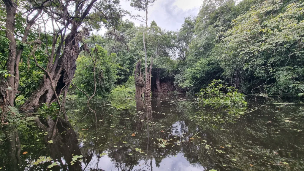 Brazilia, Manaus, Jungla Amazoniană - Marian Adventures