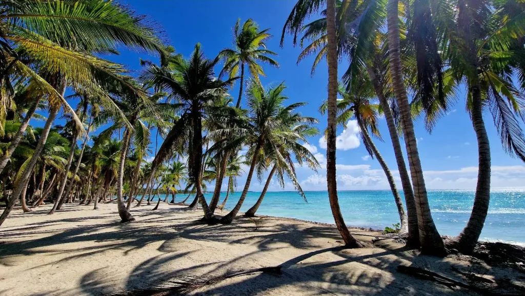 Republica Dominicană – Punta Cana - Marian Adventures