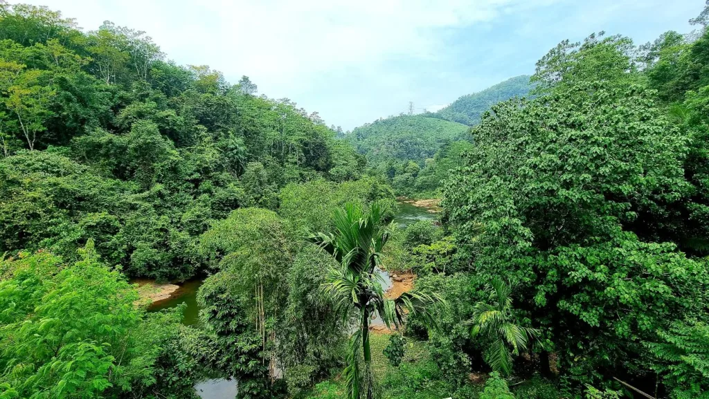 Sri Lanka – Cascada Laxapana - Marian Adventures