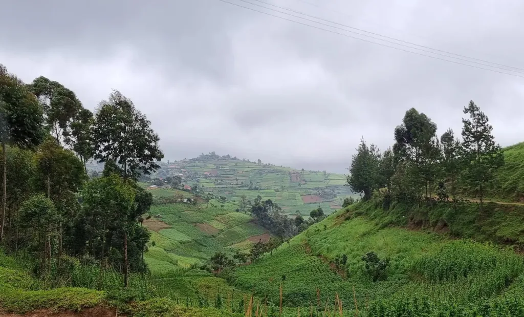 Uganda, Rubuguri - Marian Adventures