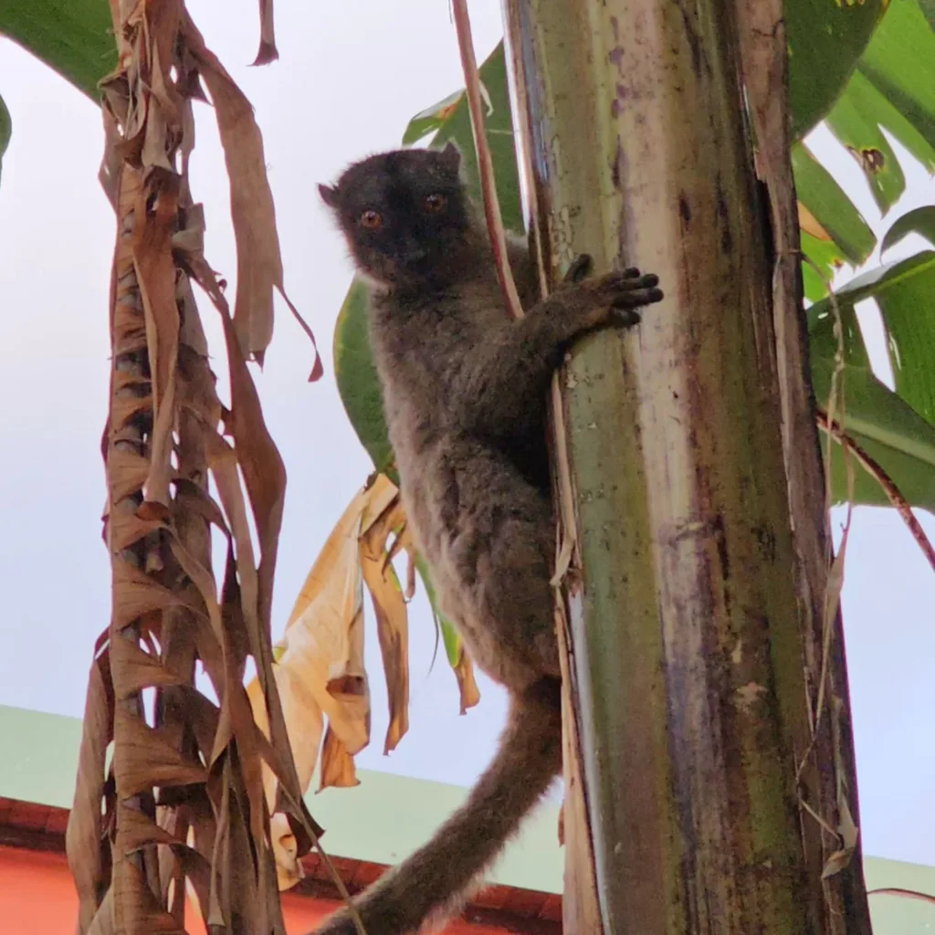 Insula Mayotte - Marian Adventures