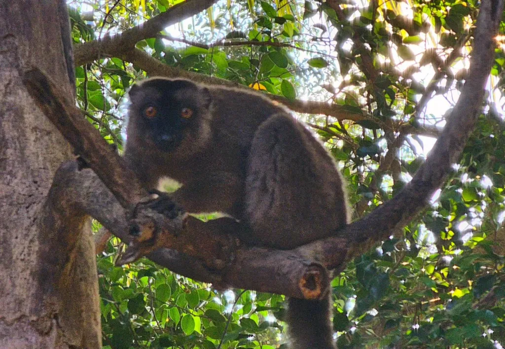 Insula Mayotte - Marian Adventures